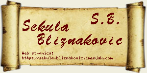 Sekula Bliznaković vizit kartica